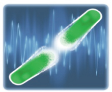 パルス電磁場により細胞にダメージ説明用イラスト
